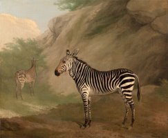 Zebra by Jacques-Laurent Agasse