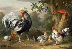 Poultry And Other Birds in The Garden of a Mansion by Jakob Bogdany