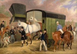 The Derby Pets The Arrival by James Pollard