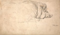 A Hog, Sleeping by James Ward