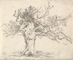 A Stunted Oak by James Ward