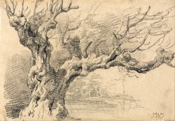 An Old Oak Tree by James Ward