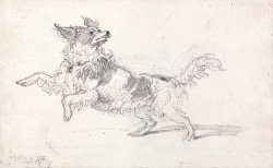 Lady Londonderry's Dog by James Ward