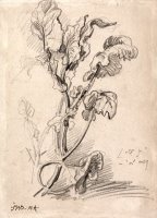 Plant Study by James Ward