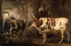 Portraits of Two Extraordinary Oxen, The Property of The Earl of Powis by James Ward