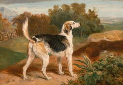 Ravager, One of The Lambton Hounds by James Ward