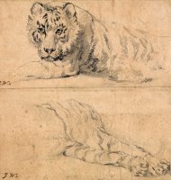 Studies of a Tiger; Above, Head And Shoulders; Below, Hindquarters by James Ward
