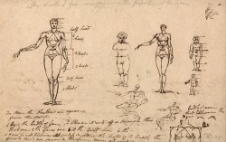 Studies of Anatomy, Measurements And Writing by James Ward