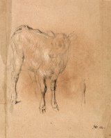Study of a Calf by James Ward