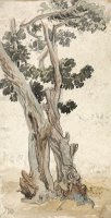 Study of a Tree by James Ward