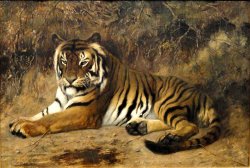 Tiger Springfield Ma by Jean Leon Gerome