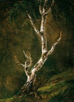 Study of a Birch Tree by Johan Christian Dahl
