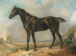 Golding Constable's Black Riding Horse by John Constable