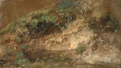 Undergrowth by John Constable