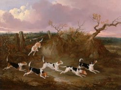 Beagles in Full Cry by John Dalby
