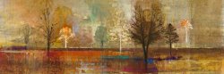 Tree Shadows I by John Douglas