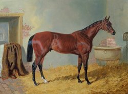 Horse in a Stable by John Frederick Herring Snr