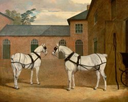 Grey Carriage Horses in The Coachyard at Putteridge Bury, Hertfordshire by John Frederick Herring