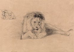 Study of a Lion And Study of a Lioness' Head by John Frederick Lewis