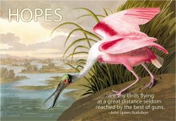 Hopes Are Shy Birds by John James Audubon
