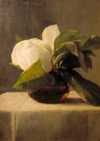Magnolia by John LaFarge