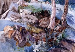 Study of The Rocks And Ferns, Crossmouth by John Ruskin
