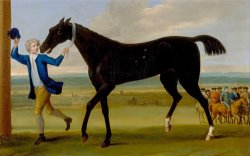 The Duke of Rutland's Bonny Black by John Wootton