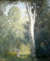Painting of Birch Trees in Forest by Julian Alden Weir