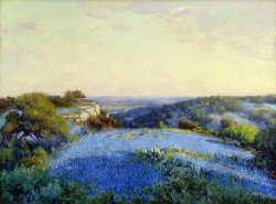 Near San Antonio by Julian Onderdonk