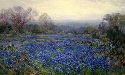 Untitled (field of Bluebonnets), N.d. by Julian Onderdonk