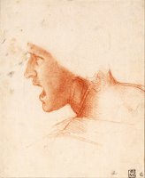 Study Of A Warrior's Head For The Battle Of Anghiari by Leonardo da Vinci