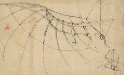 Wing Covered With Cloth And Moved By Means Of Crank Winch Below Right Detail Of Winch by Leonardo da Vinci