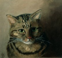 A Head Study of a Tabby Cat by Louis Wain