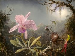 Cattelya Orchid And Three Brazilian Hummingbirds by Martin Johnson Heade