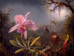 Cattleya Orchid And Three Hummingbirds by Martin Johnson Heade