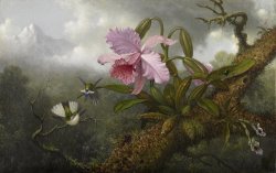 Cattleya Orchid, Two Hummingbirds, And a Beetle by Martin Johnson Heade