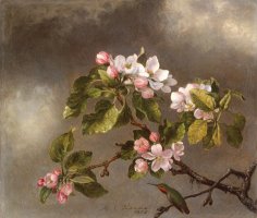 Hummingbird And Apple Blossoms by Martin Johnson Heade
