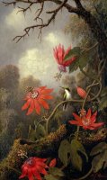 Hummingbird And Passionflowers by Martin Johnson Heade