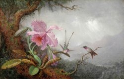 Hummingbirds And Orchids by Martin Johnson Heade