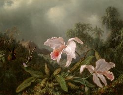 Jungle Orchids And Hummingbirds by Martin Johnson Heade