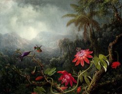 Passion Flowers with Three Hummingbirds by Martin Johnson Heade
