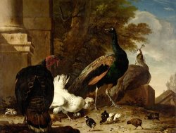 A Hen with Peacocks And a Turkey by Melchior de Hondecoeter