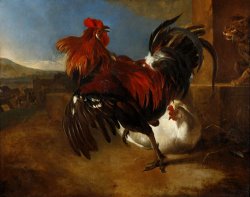 Poultry Yard with Angered Cock by Melchior de Hondecoeter