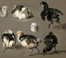 Seven Chicks by Melchior de Hondecoeter