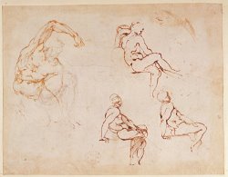 Figure Studies for a Man Brown Ink by Michelangelo Buonarroti
