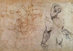 Scheme for The Sistine Chapel Ceiling C 1508 by Michelangelo Buonarroti