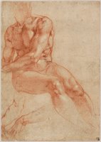 Seated Young Male Nude And Two Arm Studies (recto) by Michelangelo Buonarroti