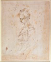 Sketch of a Woman by Michelangelo Buonarroti