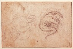 Study of a Crouching Figure Black Chalk on Paper Recto by Michelangelo Buonarroti