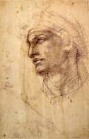 Study of a Head Charcoal Inv 1895 9 15 498 W 1 by Michelangelo Buonarroti